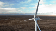 Imagen de Genneia generó el 20% de la energía renovable eólica y solar en Argentina