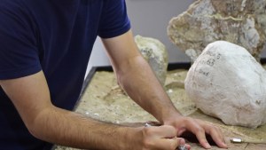 Un apasionado por la paleontología se suma a «DIGO»