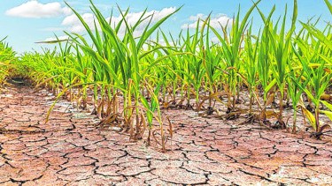 ¿El año más caluroso de la historia?