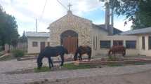 Imagen de Jacobacci: multarán a propietarios de caballos que deambulen por la vía pública