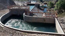 Imagen de La nueva licitación verde tendrá bajo impacto en Neuquén y Río Negro