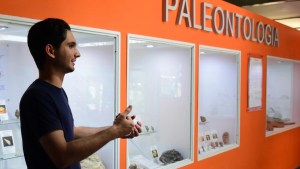 Explorando la paleo