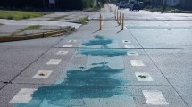 Imagen de Se despintaron bicisendas y el municipio de Viedma le exigió la garantía a la empresa