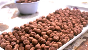 Un emprendimiento familiar de avellanas se abre camino en el mercado de los frutos secos en Cipolletti