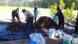 Biofertilizantes con recursos locales de la Patagonia