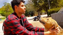 Imagen de Diseñó una app para que las mascotas perdidas se reúnan con sus dueños