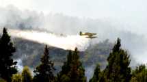 Imagen de Video: la tristeza alrededor del incendio que consume el bosque en el lago Cholila