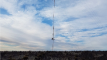 Imagen de El parque eólico Picún Leufú va camino a obtener el contrato de venta de energía