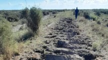 Imagen de Robaron miles de metros de rieles entre Bahía Blanca y Patagones del Tren Patagónico