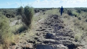 Robaron miles de metros de rieles entre Bahía Blanca y Patagones del Tren Patagónico