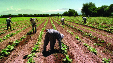 La Mesa de Enlace fue a la justicia para no pagar a los trabajadores el bono de fin de año