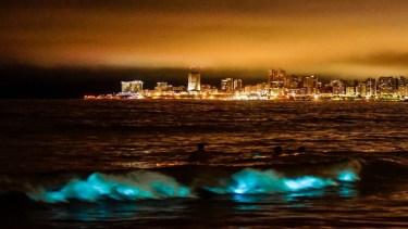 Se trata de Noctiluca Scintillans.