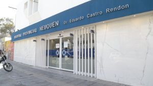 Murió atropellada una niña en Neuquén y se conoció que subieron los casos de maltrato