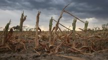 Imagen de La sequía generará una pérdida superior a los u$s 20.000 millones en 2023