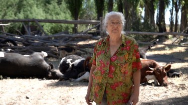 Norma debe lidiar con la contaminación de los animales. Foto Osvaldo Alvarez