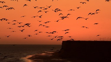 El balneario El Cóndor, es un espacio a orillas del mar ideal para quienes eligen disfrutar. (Foto: Alejandro Carnevale)