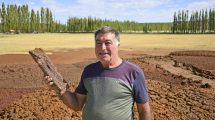 Imagen de Economía circular: hace «leña y aserrín» con frutas en Neuquén y provoca admiración en el mundo