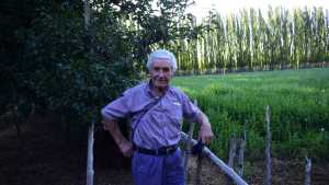 Don Spampani no se rinde y cambia los frutales por alfalfa en Roca