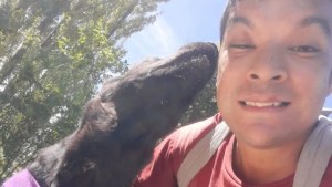 El paseador de Cipolletti volvió a trabajar luego del ataque homofóbico que sufrió