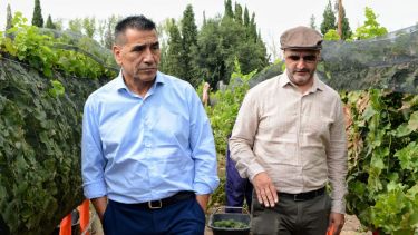 Ramón Rioseco, candidato a gobernador de Neuquén, en una recorrida por viñedos. Foto: Gentileza