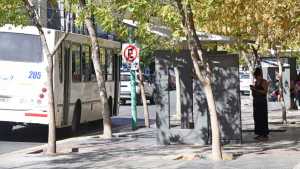 Aumenta el colectivo urbano en Cipolletti: es la cuarta vez en un año que incrementa el pasaje