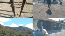 Imagen de Nuevo conflicto de tierras en la cordillera de Río Negro: denuncian amenazas a mapuches