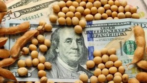 Dólar agro: Sergio Massa anunció un nuevo tipo de cambio para engrosar las reservas
