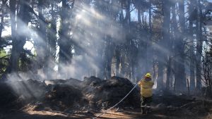 Los incendios en Bariloche estuvieron «bajo control» este verano
