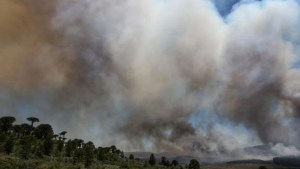 Figueroa declaró la emergencia ígnea en Neuquén por un año, tras el reclamo de la Sociedad Rural