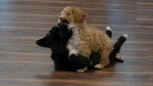 El tierno reencuentro de Mora y Caramelo tras la final de Gran Hermano