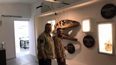 Los dinosaurios de Vaca Muerta ahora tienen su propio museo para ser exhibidos en Añelo. Foto Gentileza 