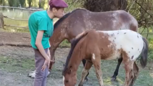 Después de tres años de espera y con la escoliosis avanzando, un joven de Las Lajas será operado