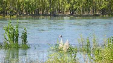 El cuerpo fue encontrado en el río Limay, en Neuquén. (foto ILUSTRATIVA. Archivo Florencia Salto).
