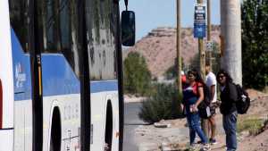 Es el sector que más crece en Neuquén, pero le faltan colectivos: una línea modificará su recorrido