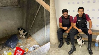 Video: una mujer tiró a su perro a un tacho de basura en Villa Luro