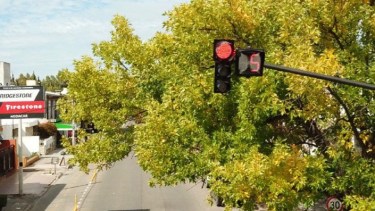 La nueva sincronización de semáforos ya están en funcionamiento a partir de este martes en la capital rionegrina. 