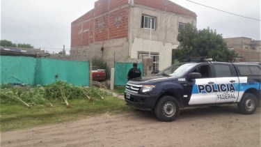 Descubrieron que había marihuana porque las plantas se podían observar desde la vereda, en Roca