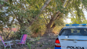 El conflicto entre vecinos por tala de árboles revivió un viejo pedido al municipio de Neuquén