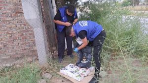 Iba camino a su trabajo y logró detener un robo en Neuquén