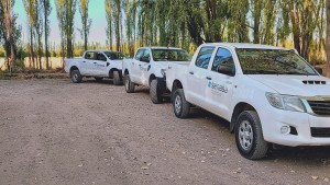 La granja con gripe aviar de Senillosa sacrificará todas sus aves: el número llega a 9.291