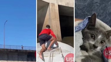 El video logró sumar más de 4,6 millones de vistas. 