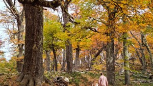 PreViaje 4: una escapada Bariloche y los imperdibles del otoño en el destino más elegido