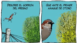 El nuevo capítulo de la tira de Chelo Candia en el Voy trae «Tristeza de gorrión»