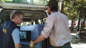 El cóndor rescatado en Traful fue trasladado a Temaikén para lograr su desintoxicación
