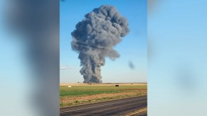Más de 18.000 vacas murieron tras explosión e incendio en una granja de Estados Unidos