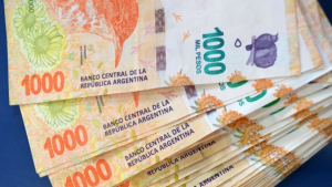 Anses y un extra de hasta $79.000: los requisitos para acceder a la prestación