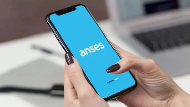 La Anses y el Certificado Único de Discapacidad. 