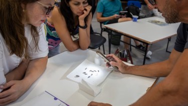 Se hacen capacitaciones que cuentan con apoyo de los ministerios de Salud de Nación, el ANLIS Malbrán, y el Centro de Estudio Parasitológicos de Vectores en La Plata.
Crédito: GEOVIN
