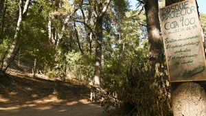 Loteo en un cerro de Bariloche: «No hablamos solo del ambiente sino la seguridad de la gente»