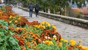 Bariloche volvió a ser la ciudad más elegida por los turistas en el Pre Viaje 4